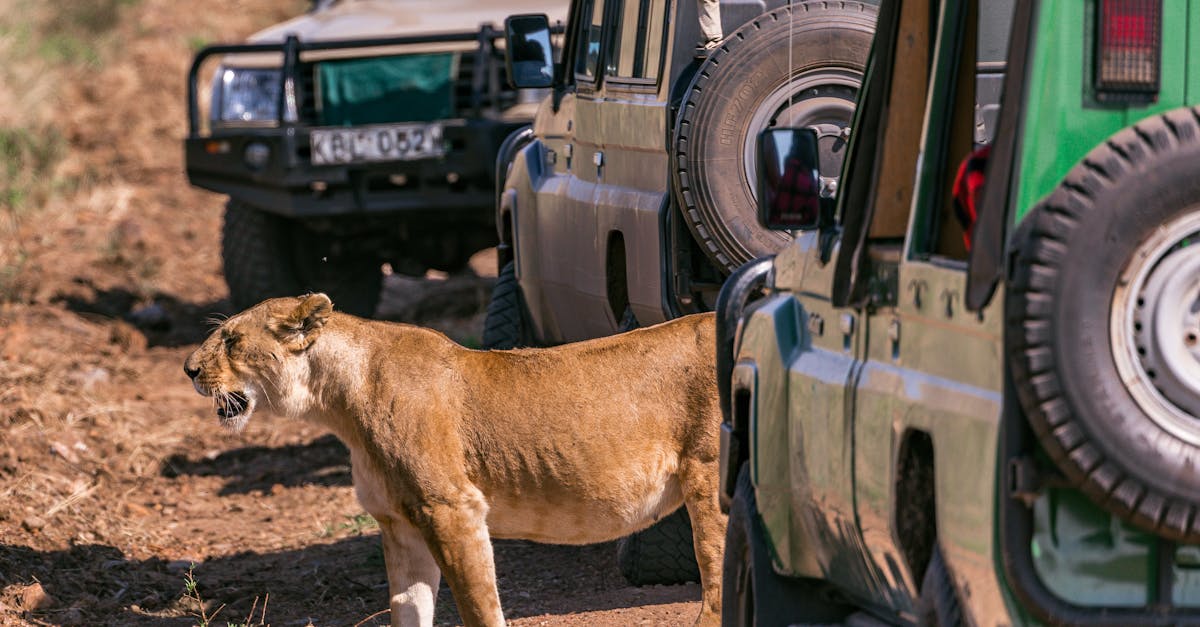 What does reserve off mean in car auctions