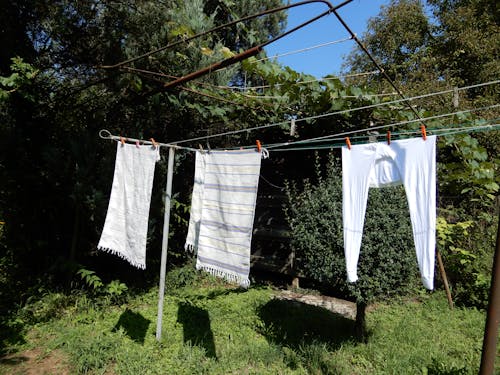 Free stock photo of clothes, clothes hanger, garden
