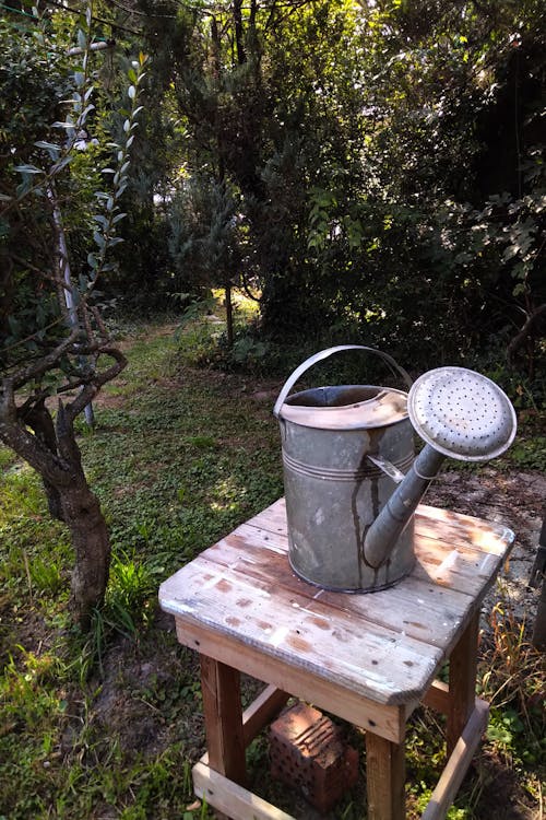 Free stock photo of garden, old, watering can