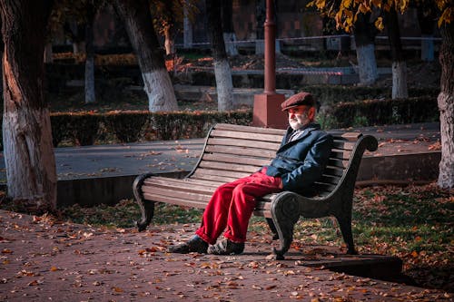 Free An Elderly Man Sitting on a Park Bench Stock Photo