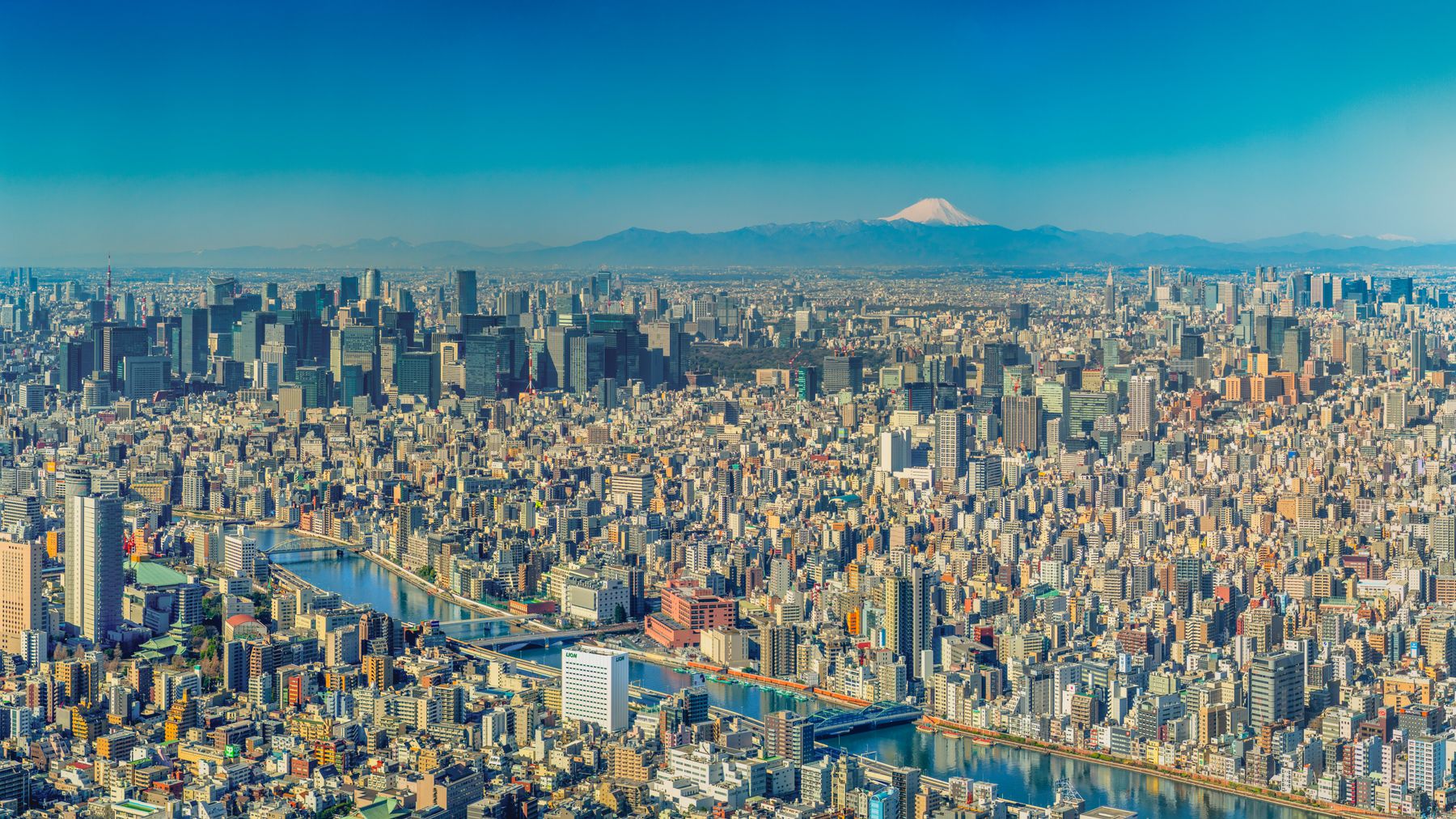 Tokyo cityscape with Mount Fuji in the distance, Japan