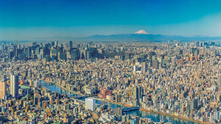 日本産オオサンショウウオ化石を新属新種として報告―アジアにおける本グループの多様性の高さを証明―