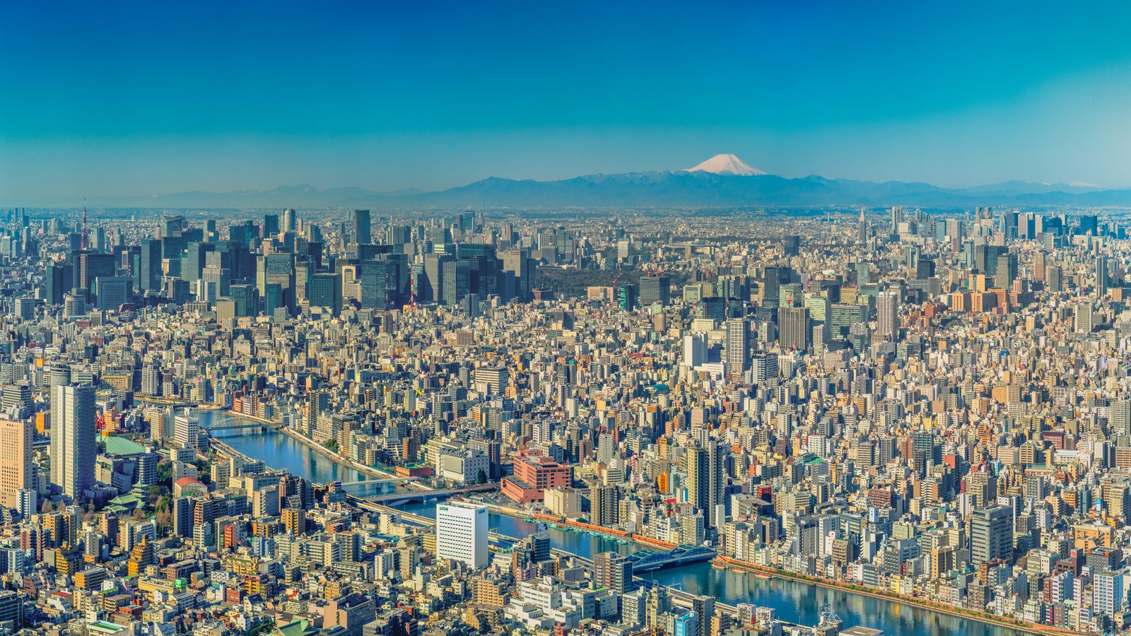 Tokyo travel guide