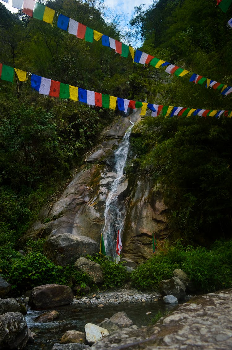 Banners Hanging In A Nature Park