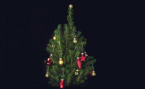 Fir decorated with Christmas baubles against black background