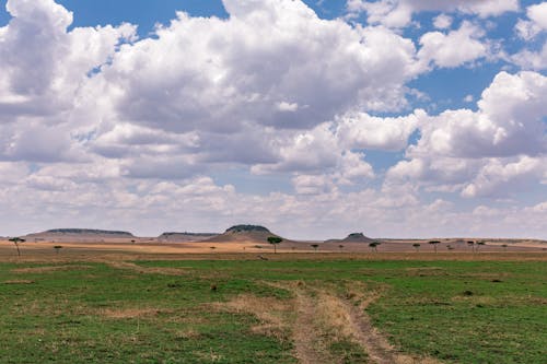 Darmowe zdjęcie z galerii z krajobraz, pastwisko, pochmurne niebo