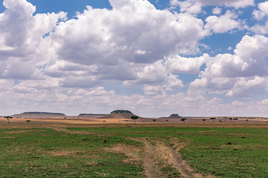 Foto profissional grátis de agricultura, área, céu nublado