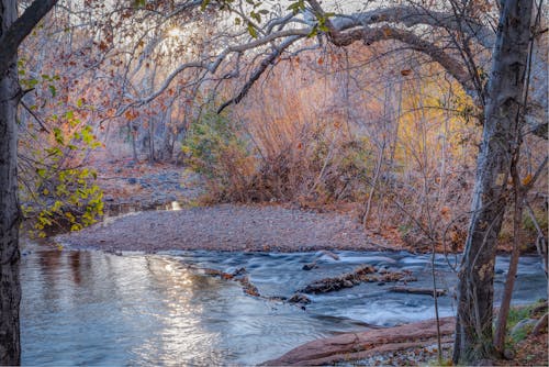 Your Guide to Arizona’s Best Fall Mountain Getaways