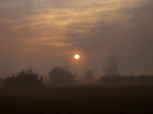 Gratis lagerfoto af natur, solopgang, solopgang farver