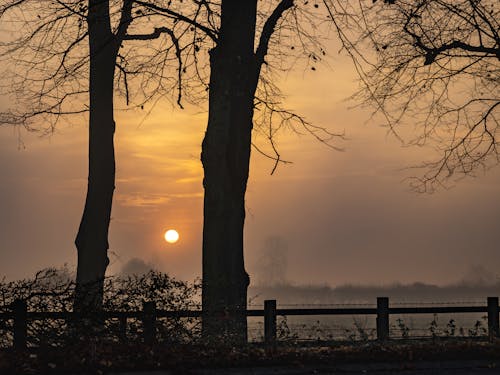 Ilmainen kuvapankkikuva tunnisteilla auringonnousu, auringonnousun värit, luonto