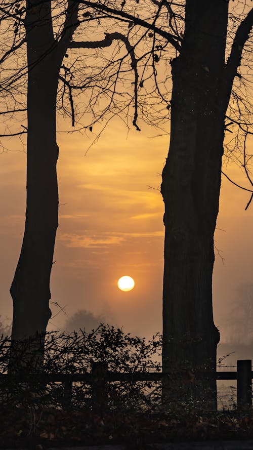 Ilmainen kuvapankkikuva tunnisteilla auringonnousu, auringonnousun värit, luonto