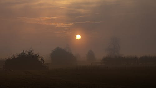 Gratis lagerfoto af natur, solopgang, solopgang farver