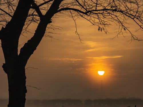 Gratis lagerfoto af natur, solopgang, solopgang farver