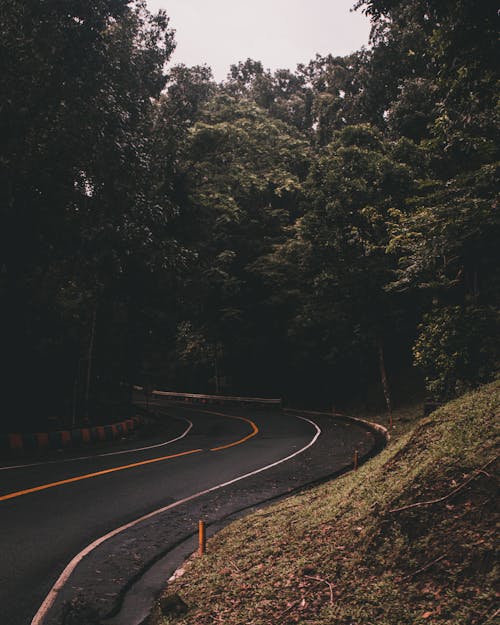 Gratis stockfoto met asfalt, berg, bomen