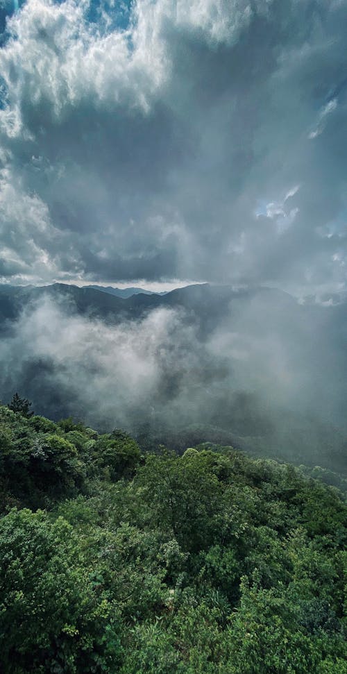 Základová fotografie zdarma na téma krásná krajina, les, mraky oblohy