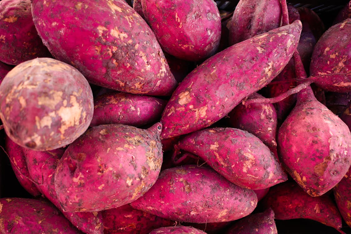 Free Close Up Photo of Sweet Potatoes  Stock Photo