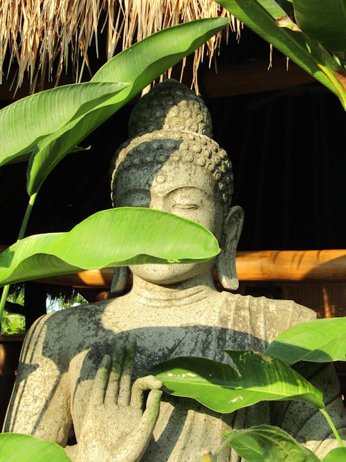 bali, Buda, heykel içeren Ücretsiz stok fotoğraf