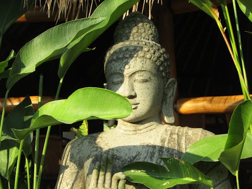 Безкоштовне стокове фото на тему «Будда, зелене листя, Натюрморт»