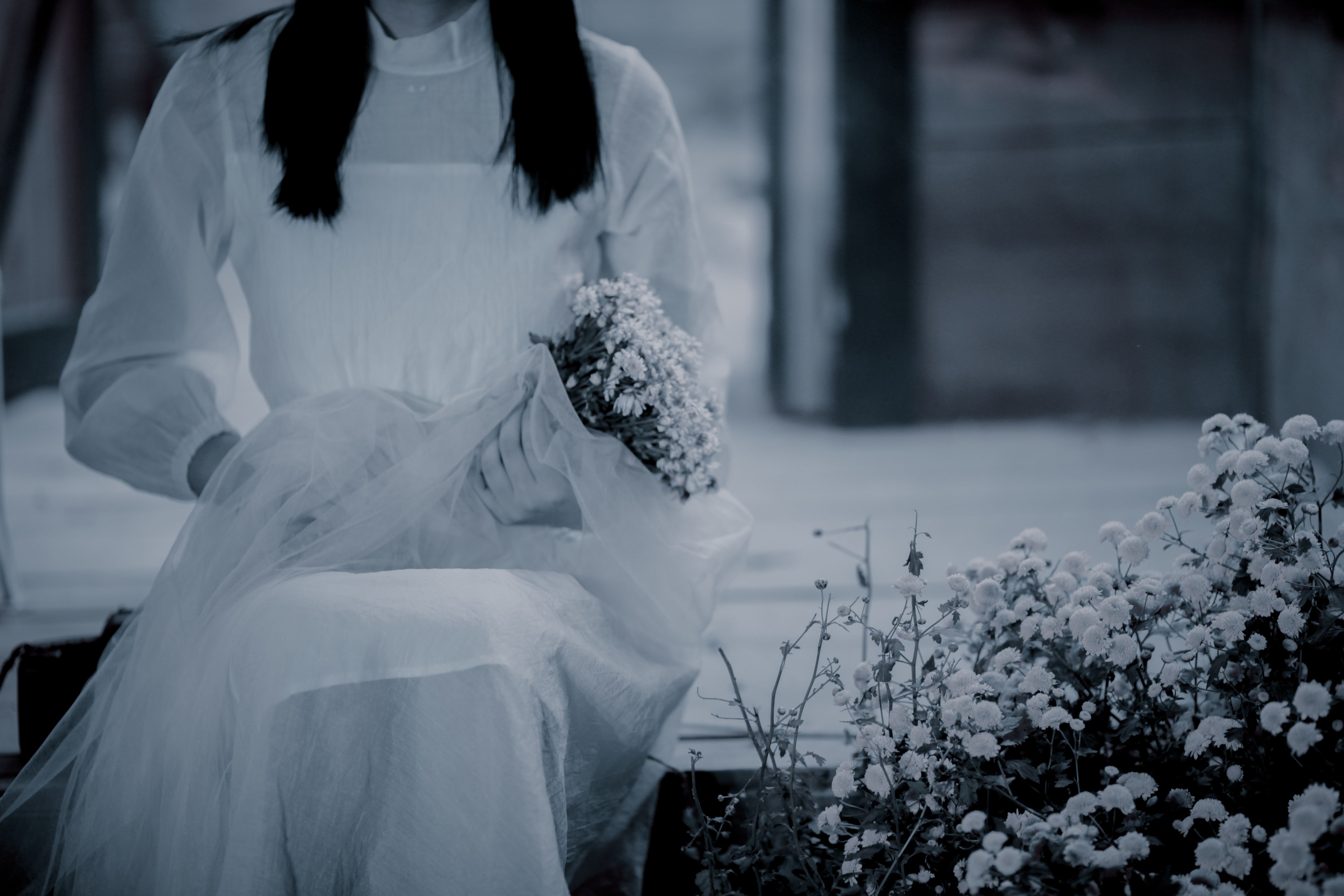 Woman In A Black Dress Oddly Holding A Dry Bouquet of Roses · Free ...