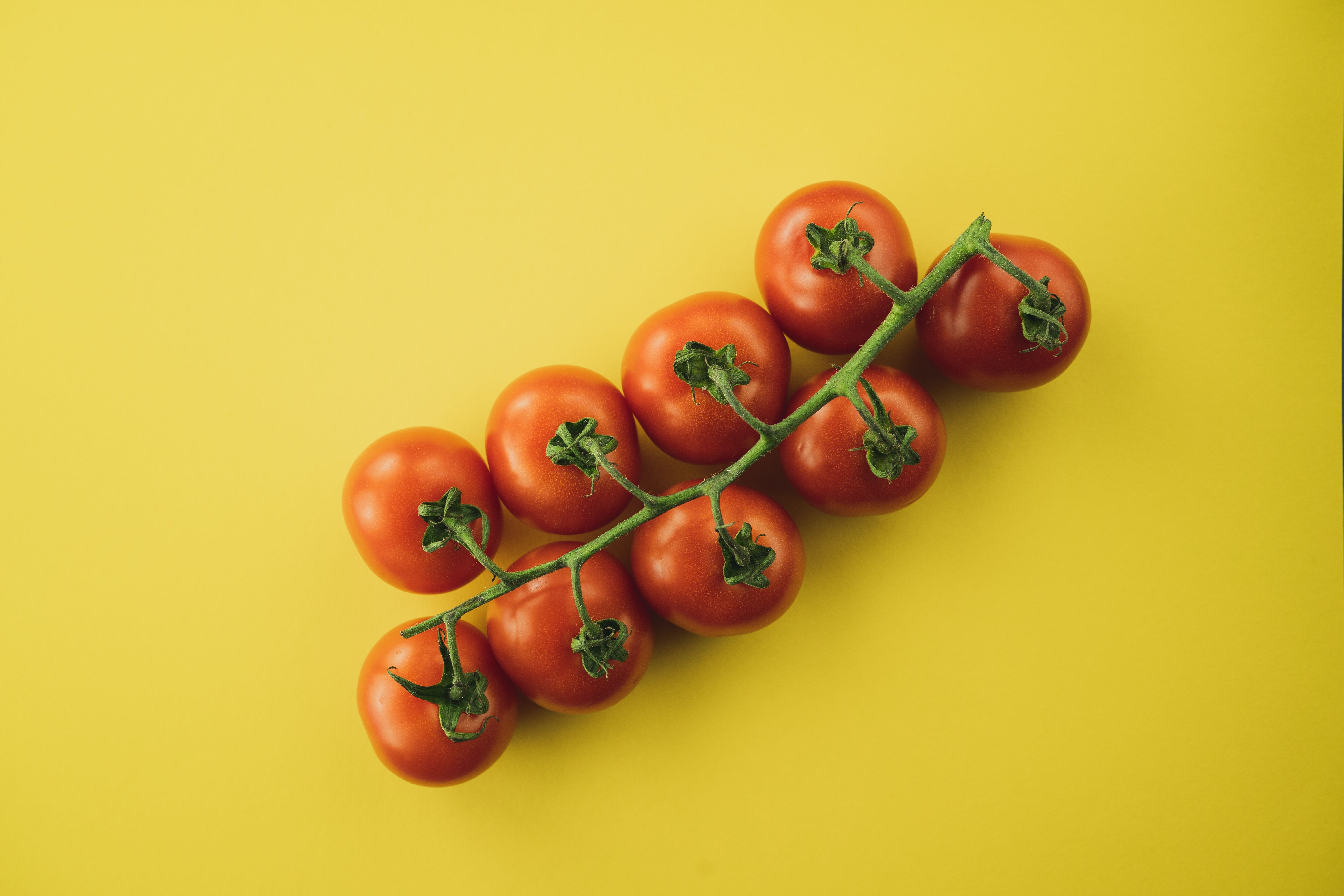 Rotten Tomatoes Awards: Best Movies &amp; TV Winners 2025 — Photo by Andre Taissin on Pexels