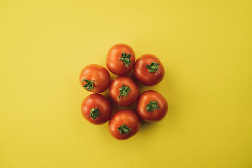 besleyici, domates, düz yüzey içeren Ücretsiz stok fotoğraf