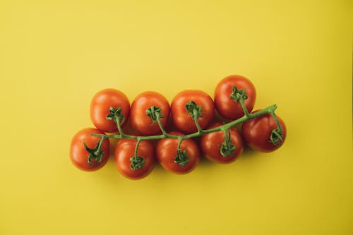 Fotobanka s bezplatnými fotkami na tému čerstvý, Copy Space, flatlay