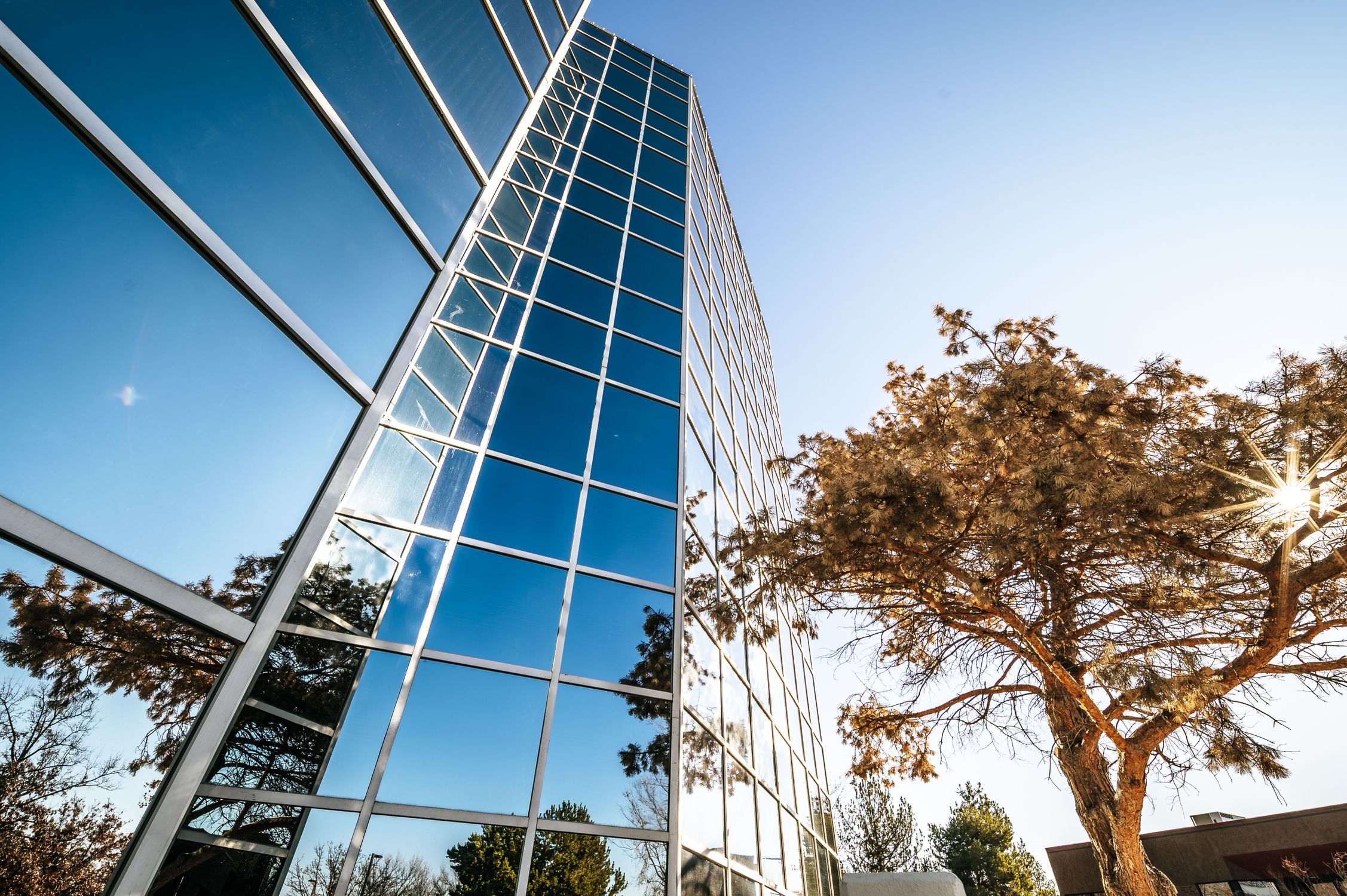 Modern glass building facade reflecting trees and sky in sunlight ...
