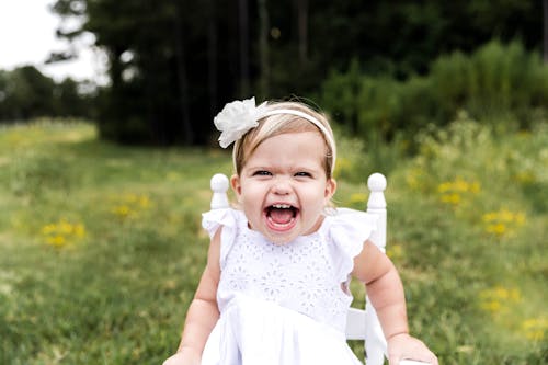 Free Toddler girl in white dress and headband sitting on stool in green grassy field and looking at camera while screaming in summer day Stock Photo