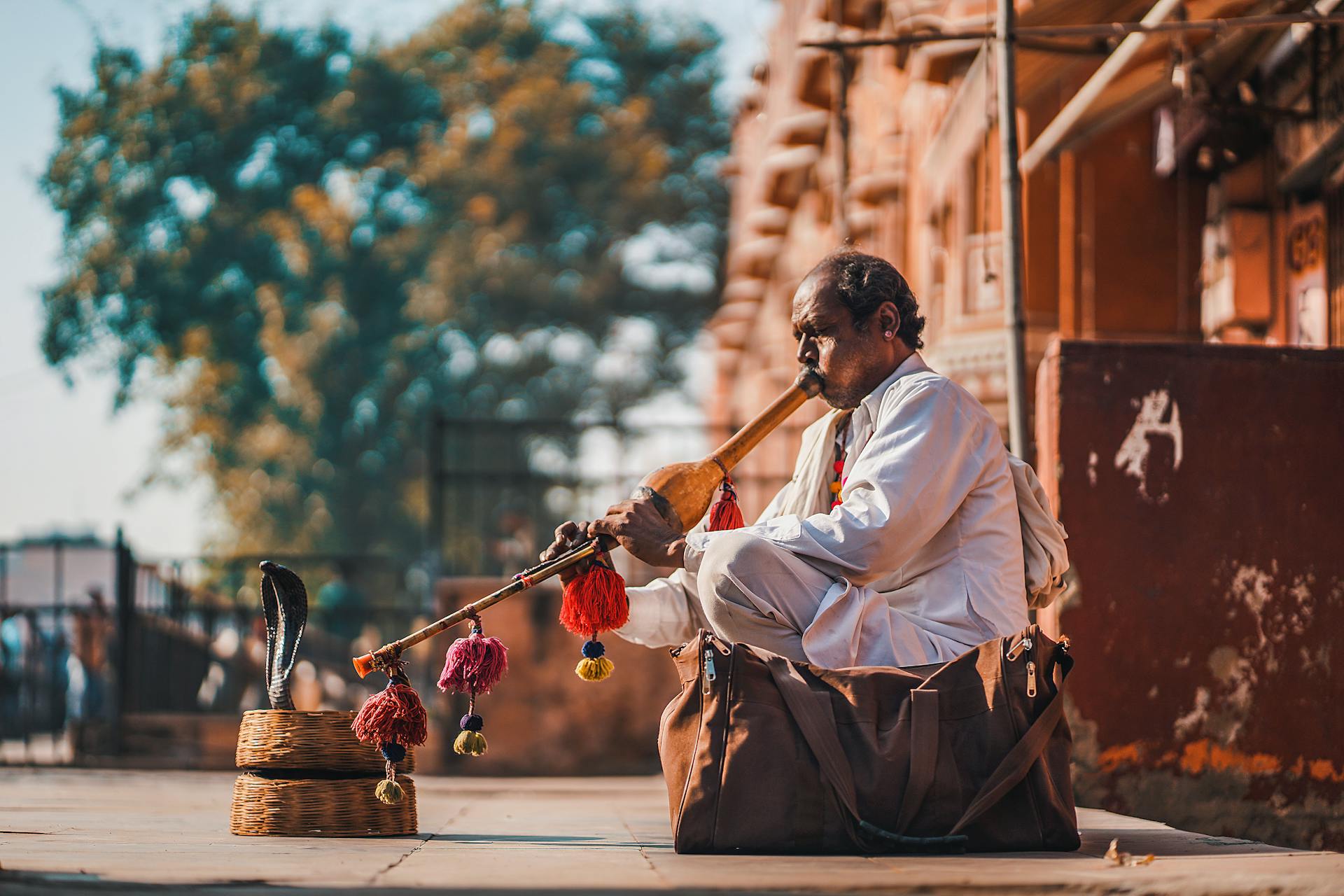 A snake charmer performing with a cobra on the streets of Jaipur, showcasing Indian culture and tradition.