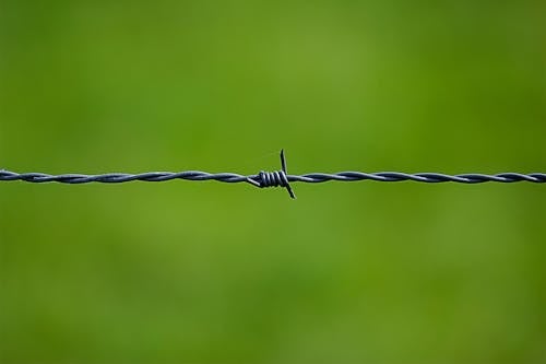 Free Barbed Wire Near on Green Surface Stock Photo