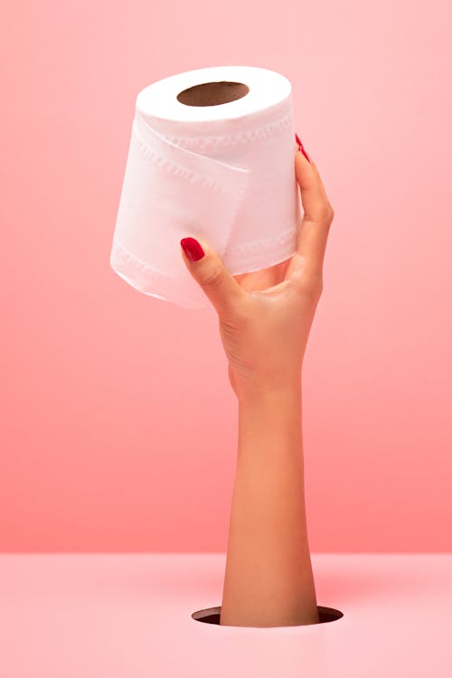 A Person Holding a Toilet Paper Roll