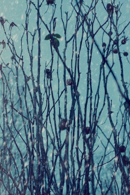 Photo by Suzy Hazelwood on pexels