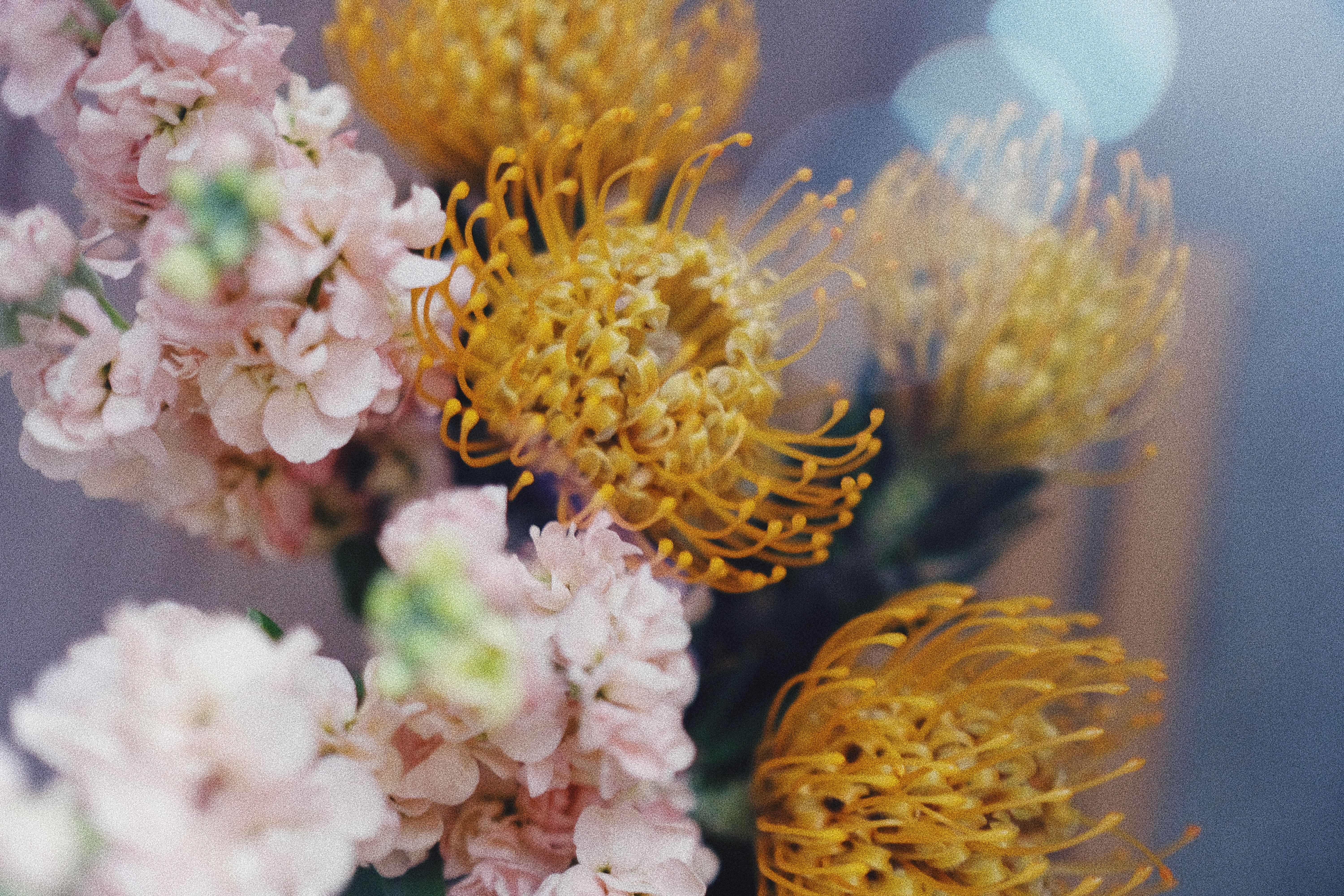 Or blanc, or jaune, or rose : quelle différence ?