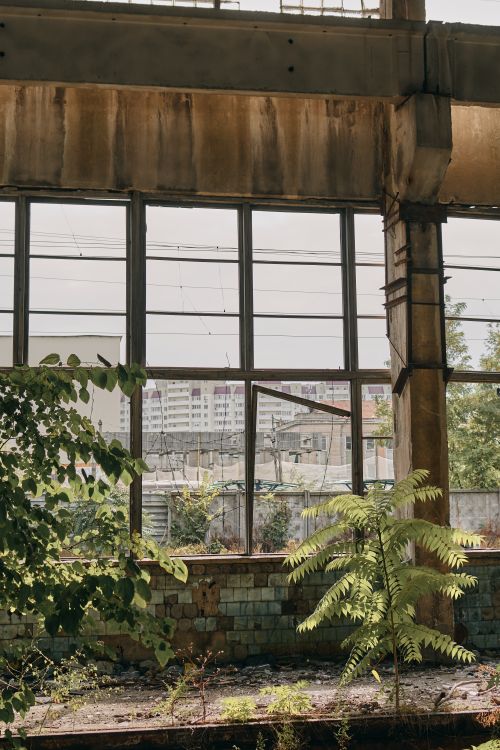 Free An abandoned industrial building featuring broken windows and creeping vegetation. Stock Photo