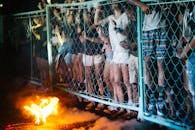 在菲律宾索索贡举行的夜间派对上，人们围着篝火热情互动