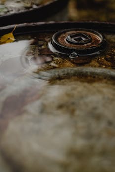 Rusty metal object submerged in rainwater with autumn leaves in a moody setting.
