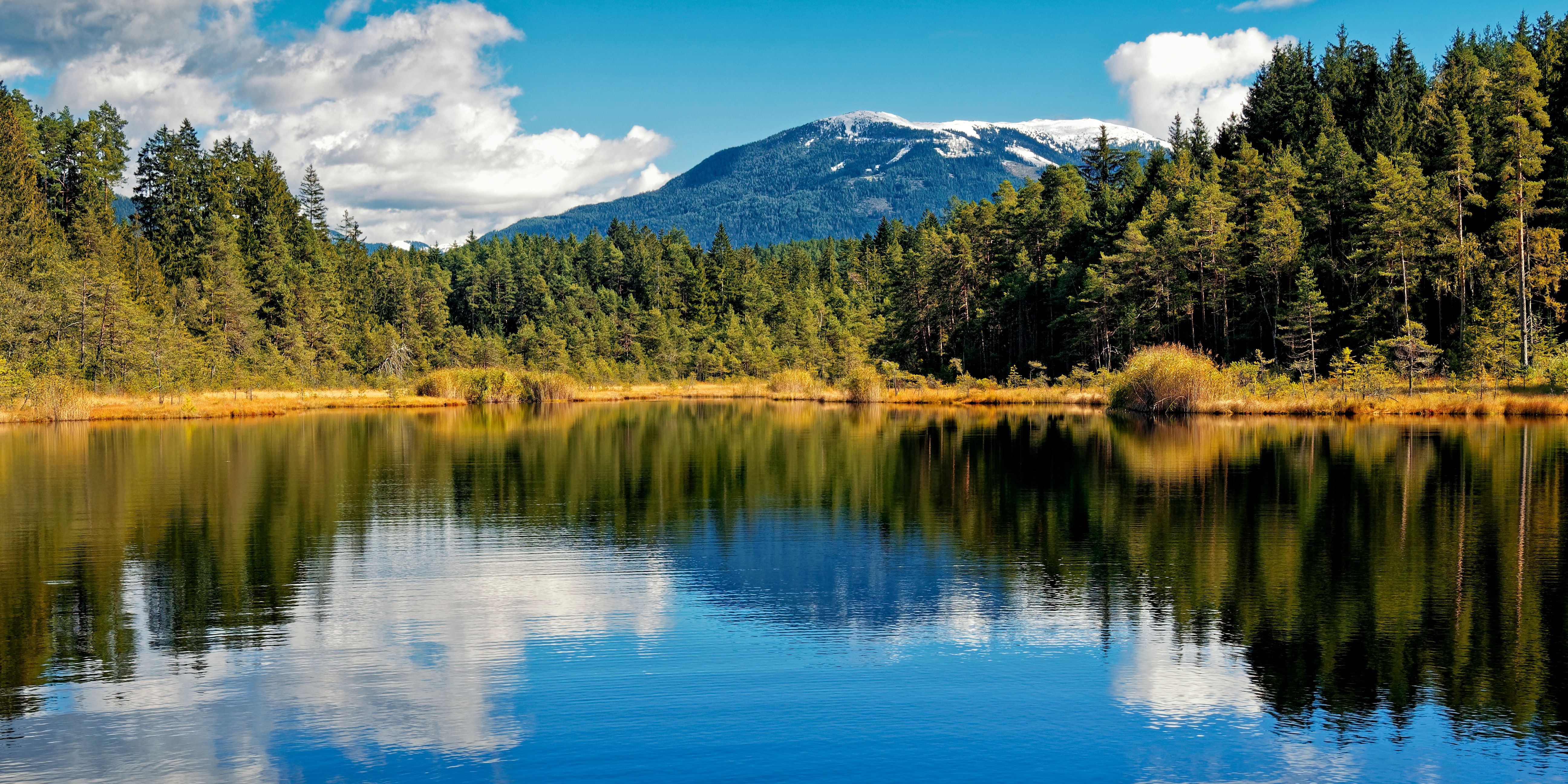Green Trees Near Lake and Mountain Under Blue Sky · Free Stock Photo