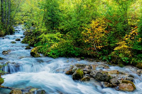 Free A picturesque stream flows through a vibrant forest in Austria, showcasing lush greenery and vibrant colors. Stock Photo