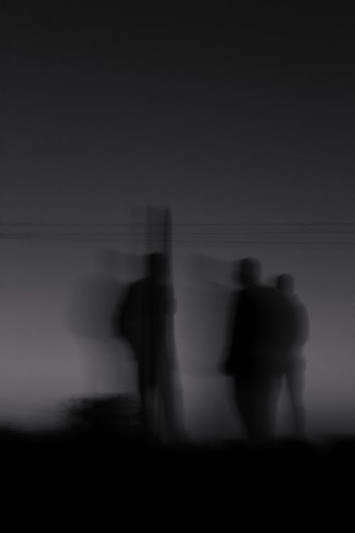 Silhouette of a Group of People Standing
