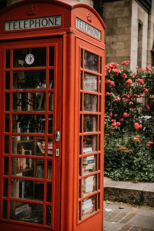 Free Iconic red telephone booth filled with books, surrounded by blooming roses in a London garden. Stock Photo
