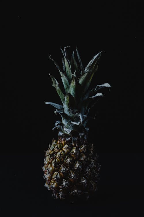 免费 菠萝果实与黑色背景 素材图片