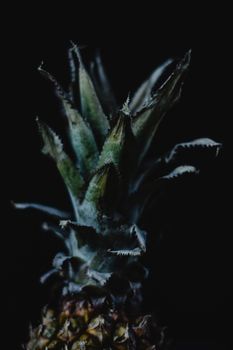 A dramatic close-up of a pineapple crown with a dark, moody background, highlighting its textures.