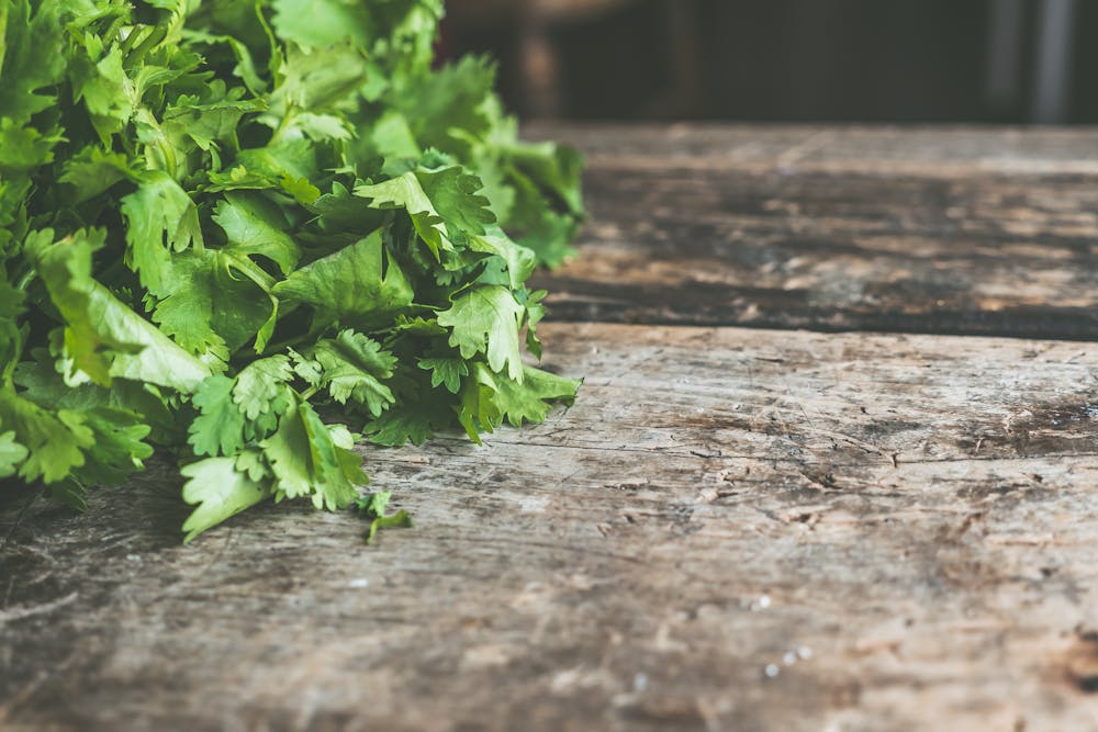 Ajwain Leaf Chutney