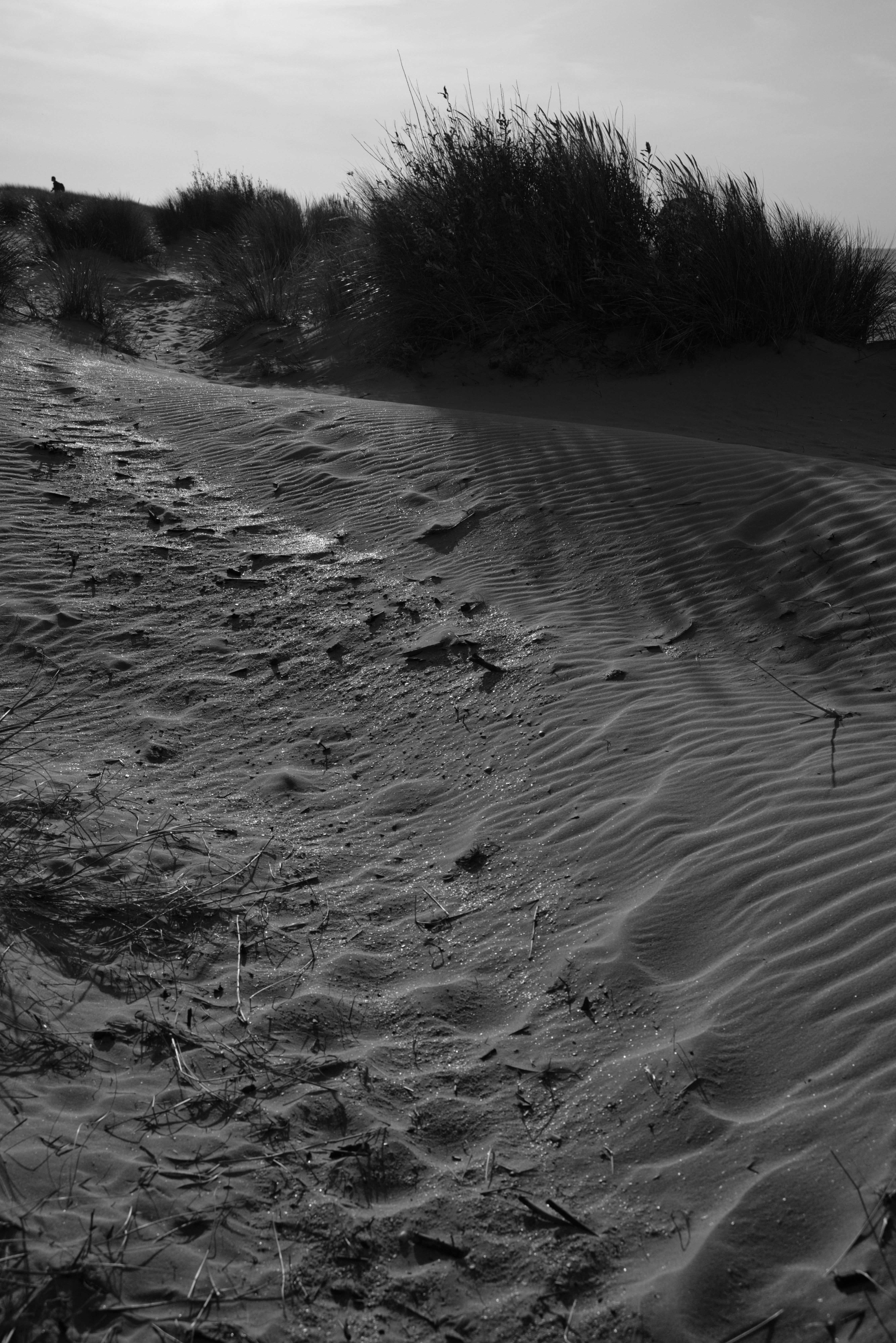 Grayscale Photo of Sand and Grass · Free Stock Photo