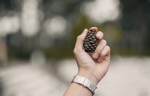 Person in wristwatch holding small cone