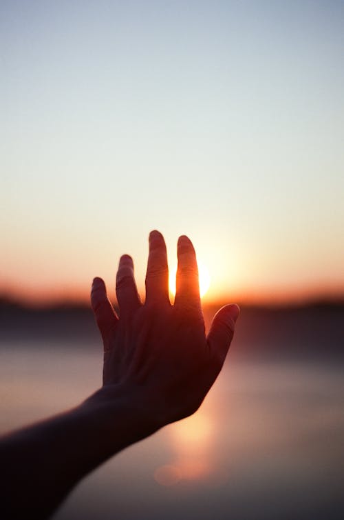 Persons Left Hand With Sun Rays