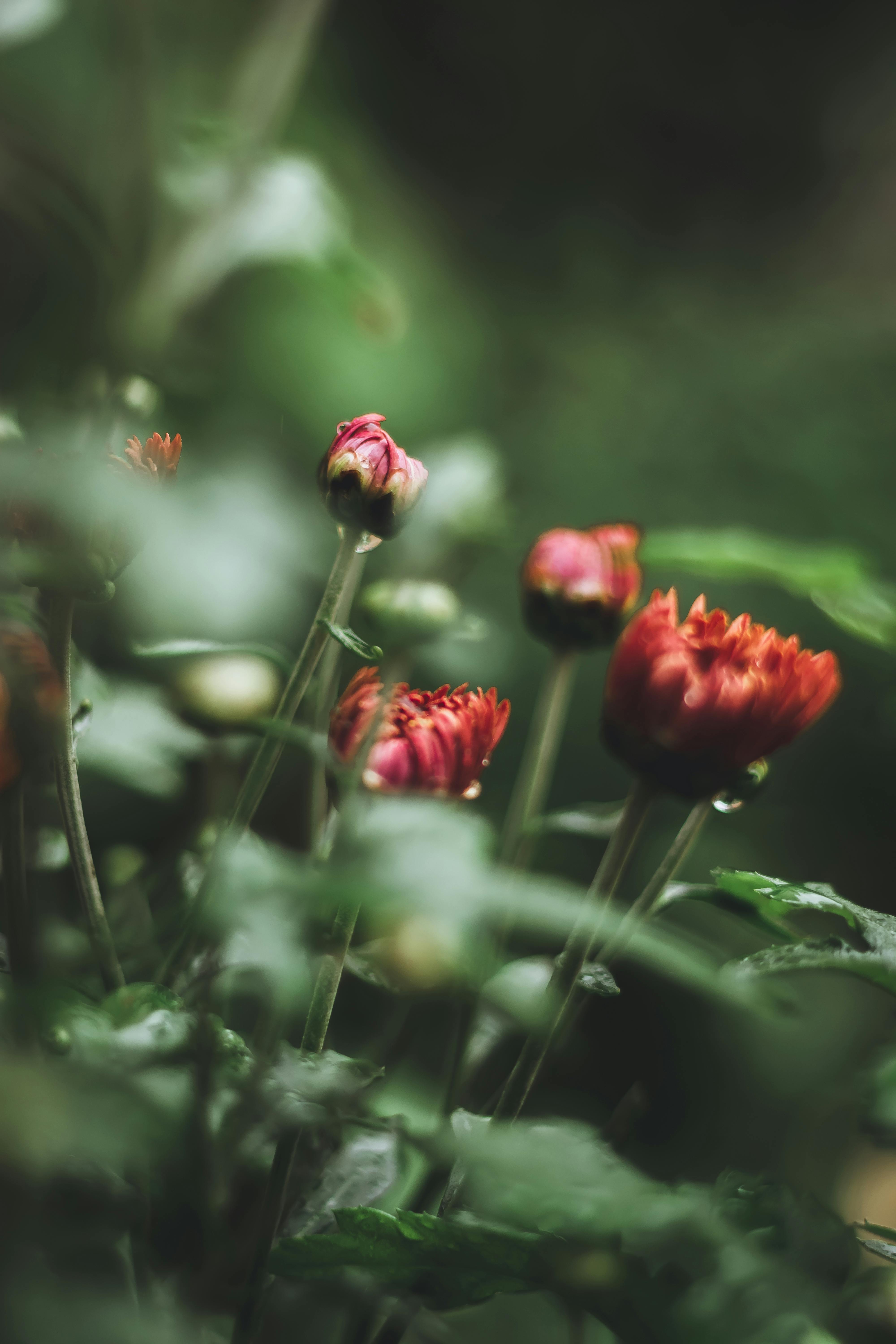 37+ Best Free Unsplash Stock Photos & Images · 100% Royalty-Free HD ...