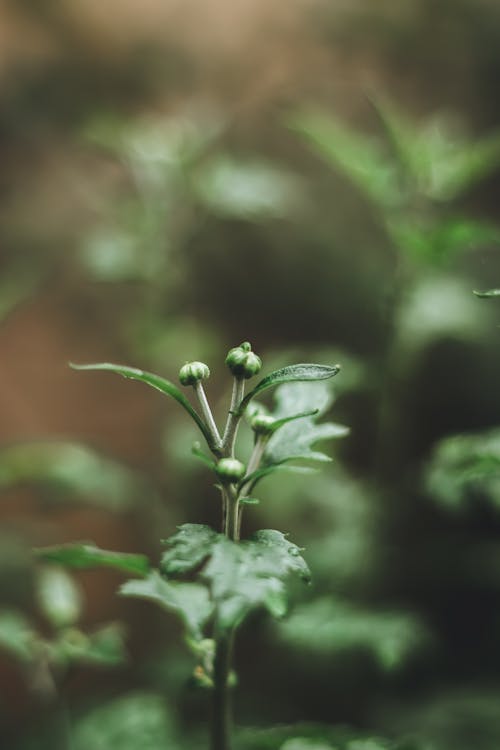 40+ Best Unsplash Photos · 100% Free Download · Pexels Stock Photos