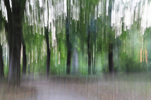 Základová fotografie zdarma na téma pohyb, rozmazání pohybu, rozostřený