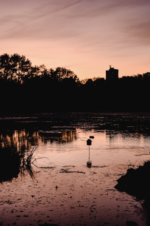 Silhouette De Personne Debout Sur L'eau Au Coucher Du Soleil